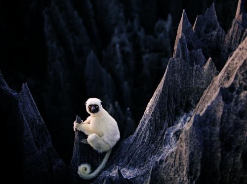 Лучшие снимки февраля от National Geographic