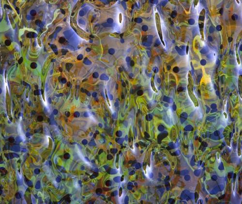 Фотографии диких животных на конкурсе British Wildlife Photography