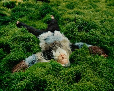 Лучшие фотосессии уходящего года