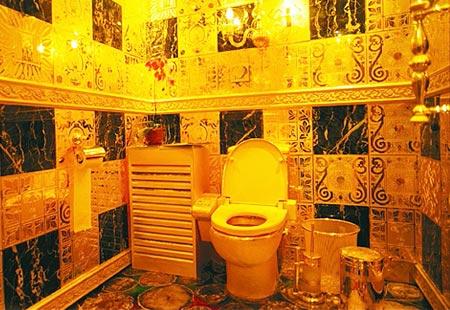 Самые необычные туалеты мира