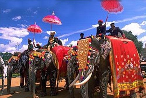 Взбесившийся слон расправился с людьми