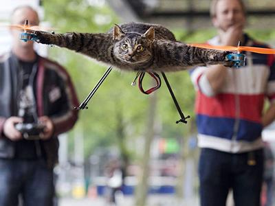 Снимки, которые облетели весь мир и стали хитами в 2012 году. Ч.2