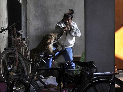 Снимки, которые облетели весь мир и стали хитами в 2012 году. Ч.2