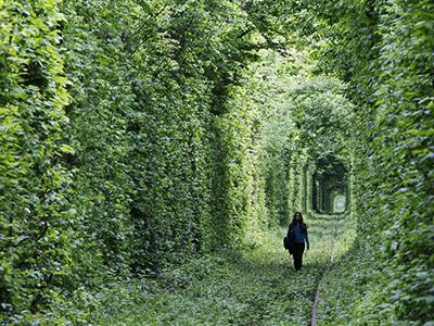 Снимки, которые облетели весь мир и стали хитами в 2012 году. Ч.2