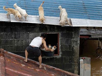 Снимки, которые облетели весь мир и стали хитами в 2012 году. Ч.2