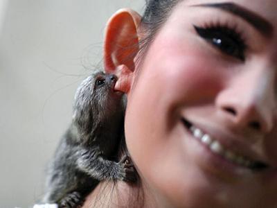 Снимки, которые облетели весь мир и стали хитами в 2012 году. Ч.2