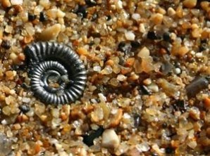 Самые необыкновенные пляжи