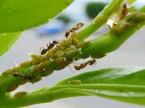 10 секретов живой природы, которые ученым пока так и не удалось раскрыть