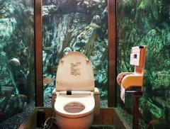Самые удивительные виды из туалетов