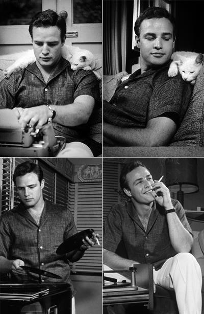 Топ-10 самых фотогеничных голливудских звезд всех времен