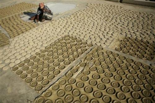 Самые странные и откровенно омерзительные блюда мира