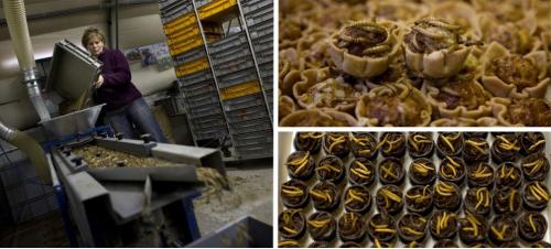 Самые странные и откровенно омерзительные блюда мира