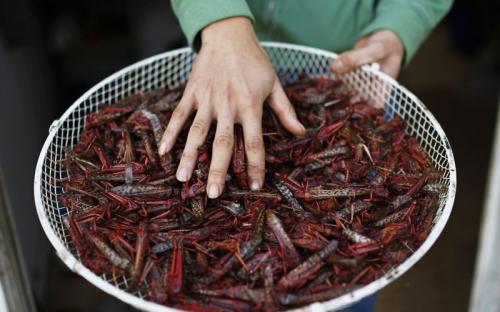 Самые странные и откровенно омерзительные блюда мира