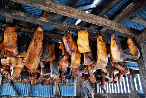 Самые странные и откровенно омерзительные блюда мира