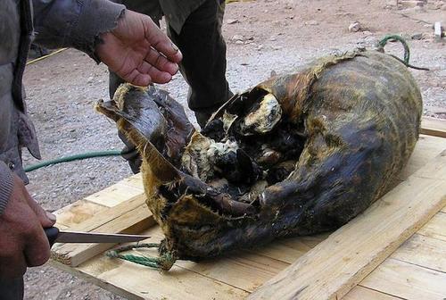 Самые странные и откровенно омерзительные блюда мира