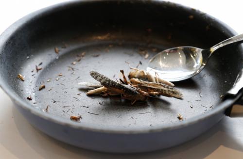 Самые странные и откровенно омерзительные блюда мира