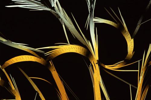 Победители конкурса микрофотографии от Nikon