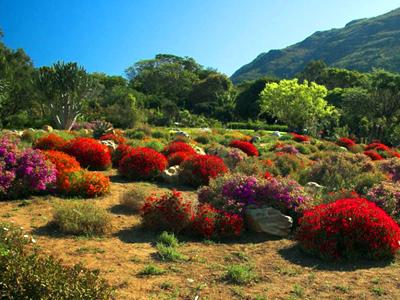Топ-15 самых красивых садов в мире