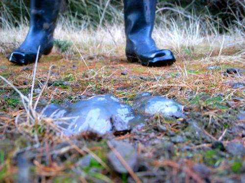 Загадочные явления, которые не поддаются объяснению