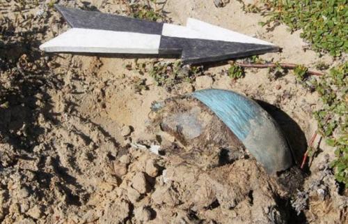 10 важнейших черепов для человечества