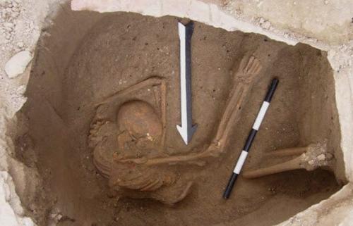 10 важнейших черепов для человечества