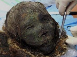 10 важнейших черепов для человечества