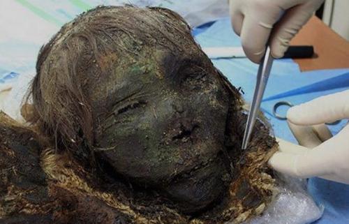 10 важнейших черепов для человечества