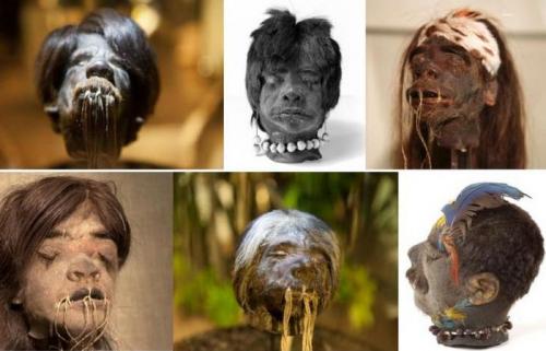 10 важнейших черепов для человечества