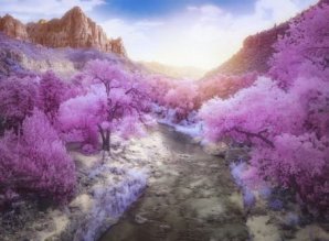 Лучшие работы с нового конкурса инфракрасной фотографии Life in Another Light