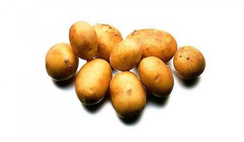 Самые дорогие блюда мира