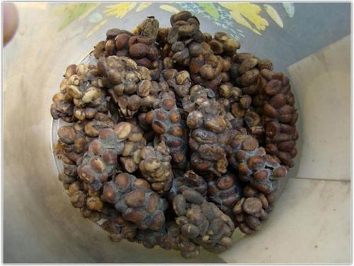 Самые дорогие блюда мира