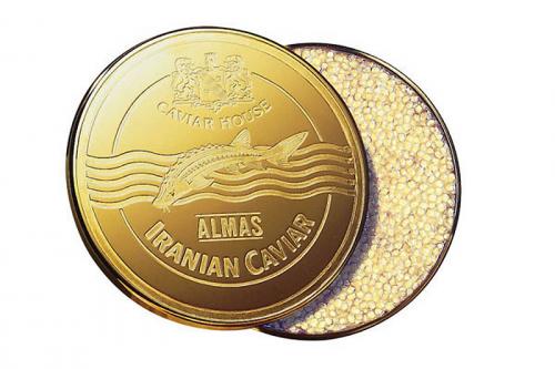 Самые дорогие блюда мира