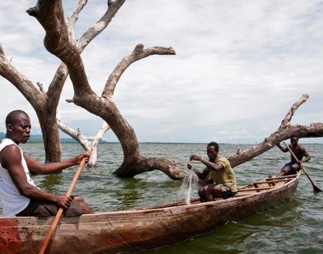 Затонувшие леса мистифицируют человека