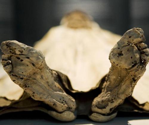 Потревоженные мертвецы путешествуют по миру