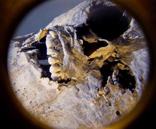 Потревоженные мертвецы путешествуют по миру