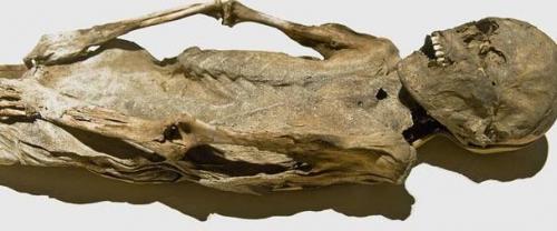 Потревоженные мертвецы путешествуют по миру