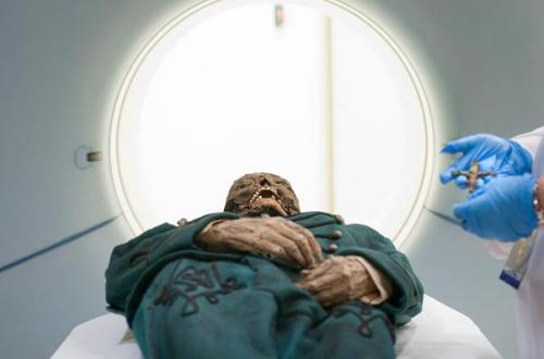 Потревоженные мертвецы путешествуют по миру