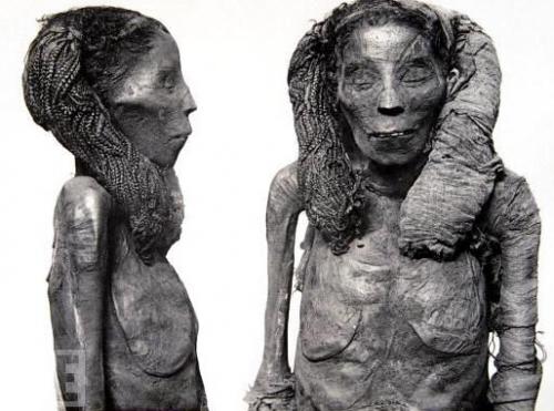 Потревоженные мертвецы путешествуют по миру