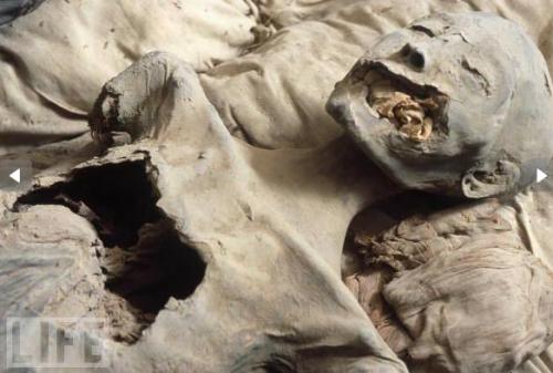 Потревоженные мертвецы путешествуют по миру