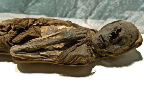 Потревоженные мертвецы путешествуют по миру