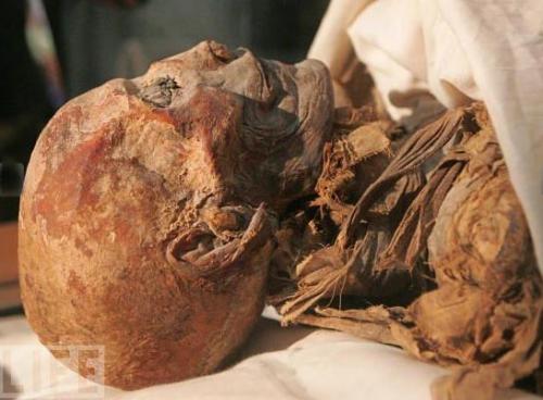 Потревоженные мертвецы путешествуют по миру