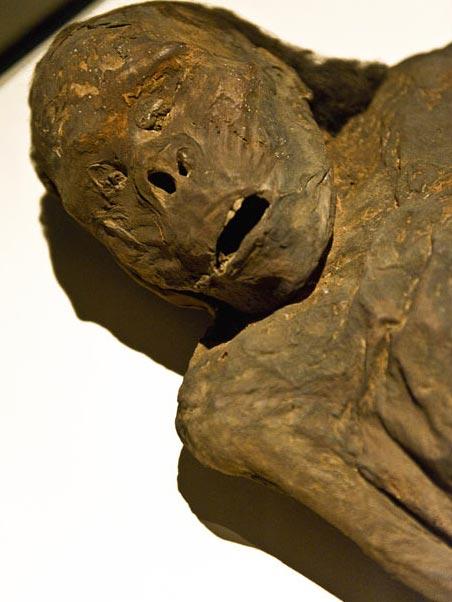 Потревоженные мертвецы путешествуют по миру