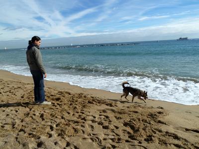 Топ-10 прибрежных городов