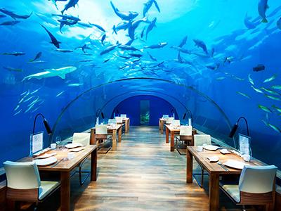 Лучший отель в мире