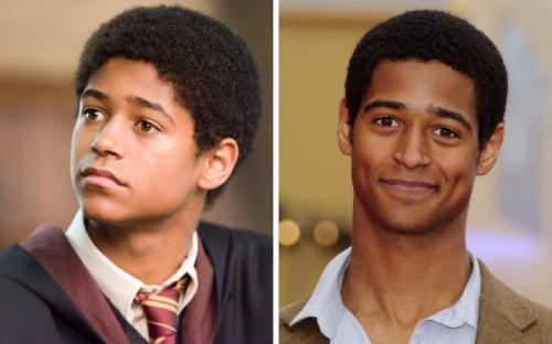 Чем сейчас занимаются актеры, сыгравшие студентов Хогвартса в «Гарри Поттере»