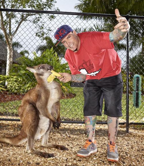 Необычные домашние любимцы знаменитости