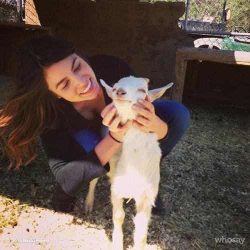 Последние фото звезд из твиттеров