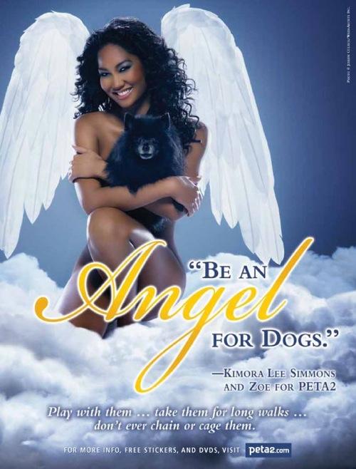 Знаменитости защищают животных телом