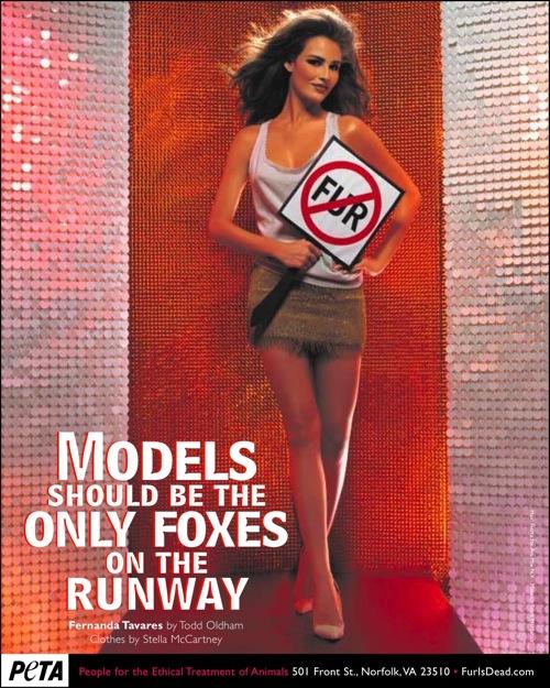 Знаменитости защищают животных телом