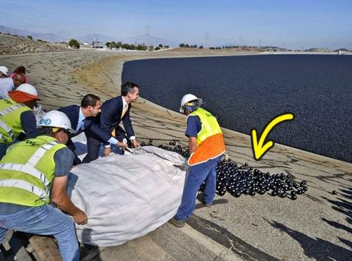 Странные идеи, которые оказались очень успешными